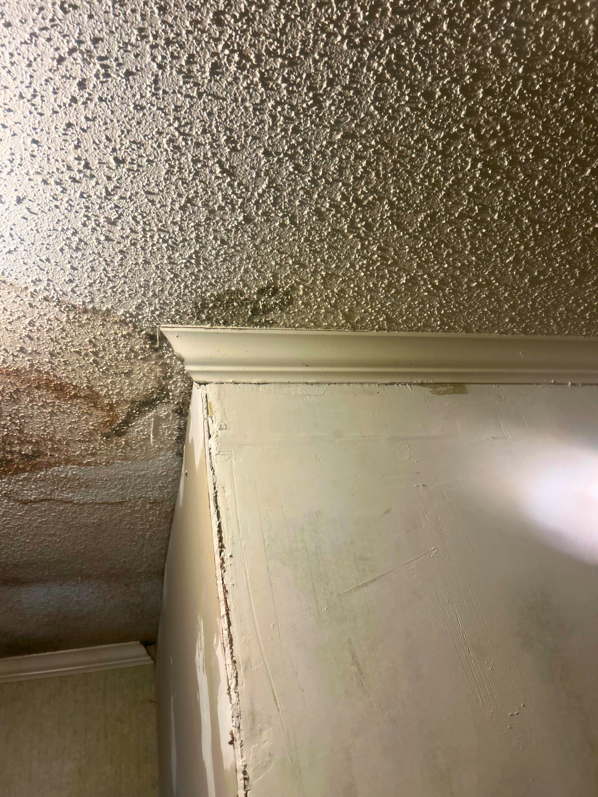 rina-gallien-dispute-work-spectrum-roofing-metirie, LA